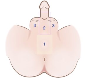1701164884 6565b754542fc